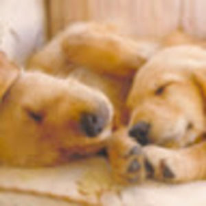 Meet your Posher, Sue&john